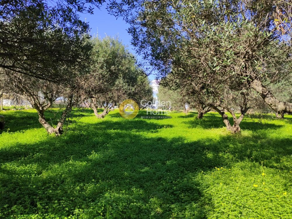 Building Plot in Vasileies, Archanes — Photo 3 of 7