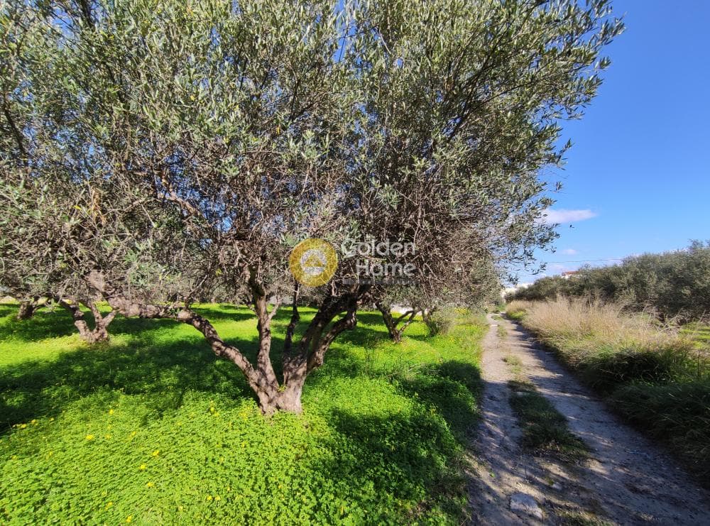 Building Plot in Vasileies, Archanes — Photo 5 of 7