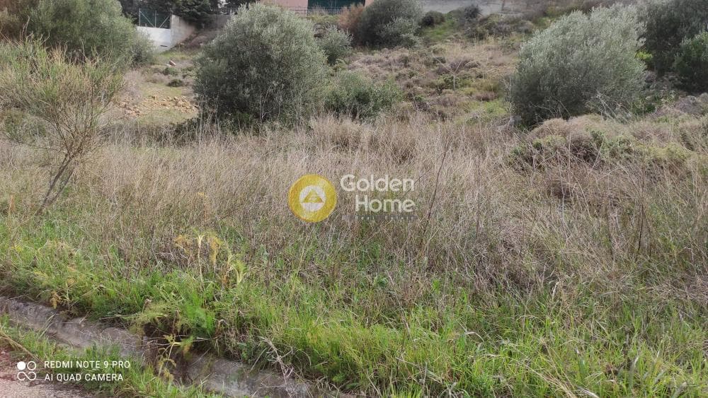 Οικόπεδο στην Ντράφι, Πικέρμι — Φωτογραφία 2 από 9