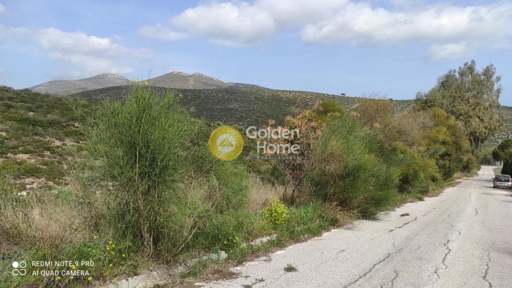 Οικόπεδο στην Ντράφι, Πικέρμι — Φωτογραφία 3 από 9