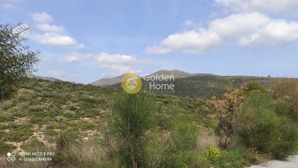 Οικόπεδο στην Ντράφι, Πικέρμι — Φωτογραφία 9 από 9