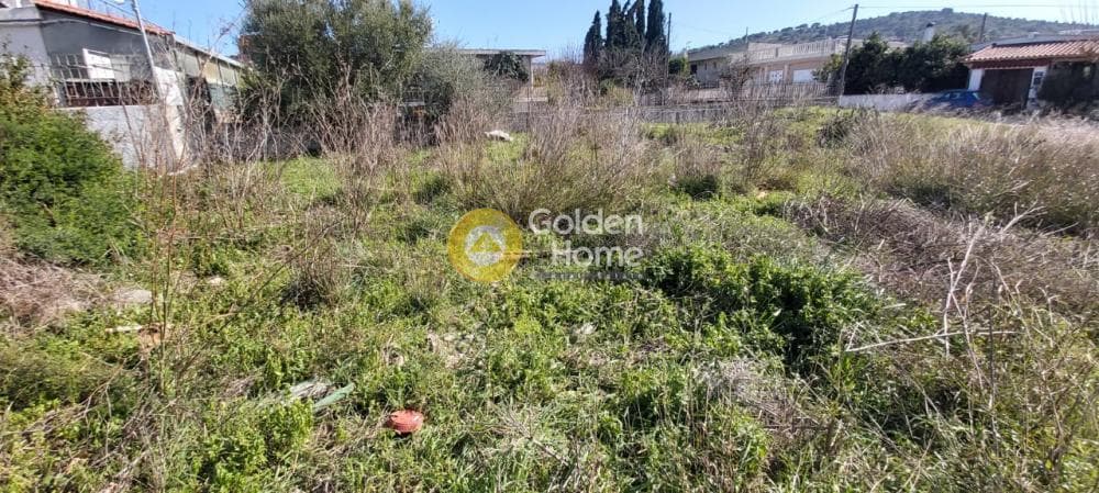 Building Plot in Agios Serafeim, Artemida (Loutsa) — Photo 8 of 9