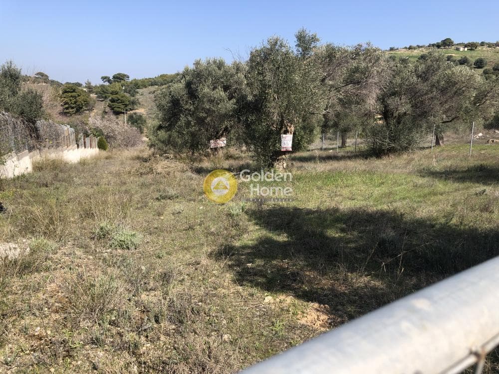 Building Plot in Neapoli, Spata — Photo 4 of 4