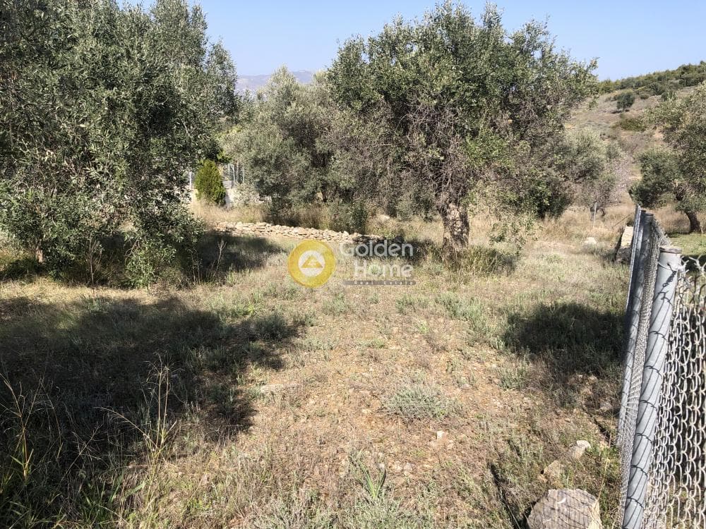 Building Plot in Neapoli, Spata — Photo 3 of 4