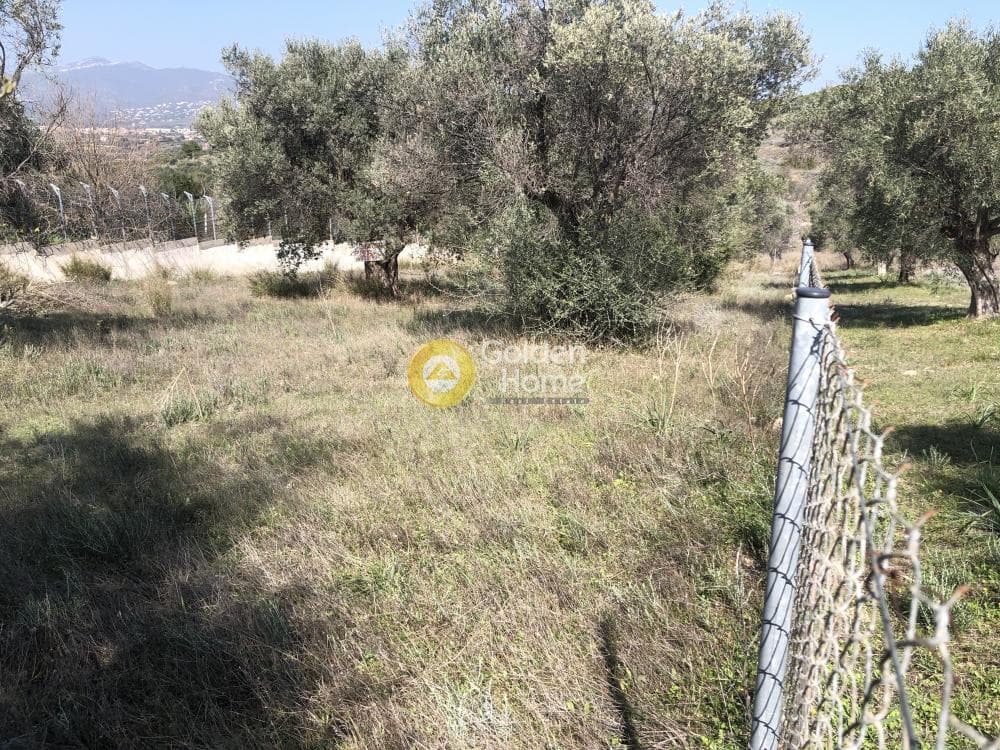 Building Plot in Neapoli, Spata — Photo 2 of 4