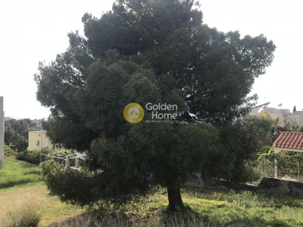 Αγροτεμάχιο στην Μαύρο Λιθάρι, Σαρωνίδα — Φωτογραφία 1 από 12