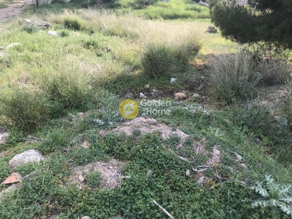 Αγροτεμάχιο στην Μαύρο Λιθάρι, Σαρωνίδα — Φωτογραφία 2 από 12