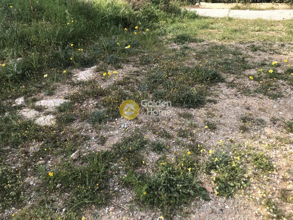 Αγροτεμάχιο στην Μαύρο Λιθάρι, Σαρωνίδα — Φωτογραφία 5 από 12