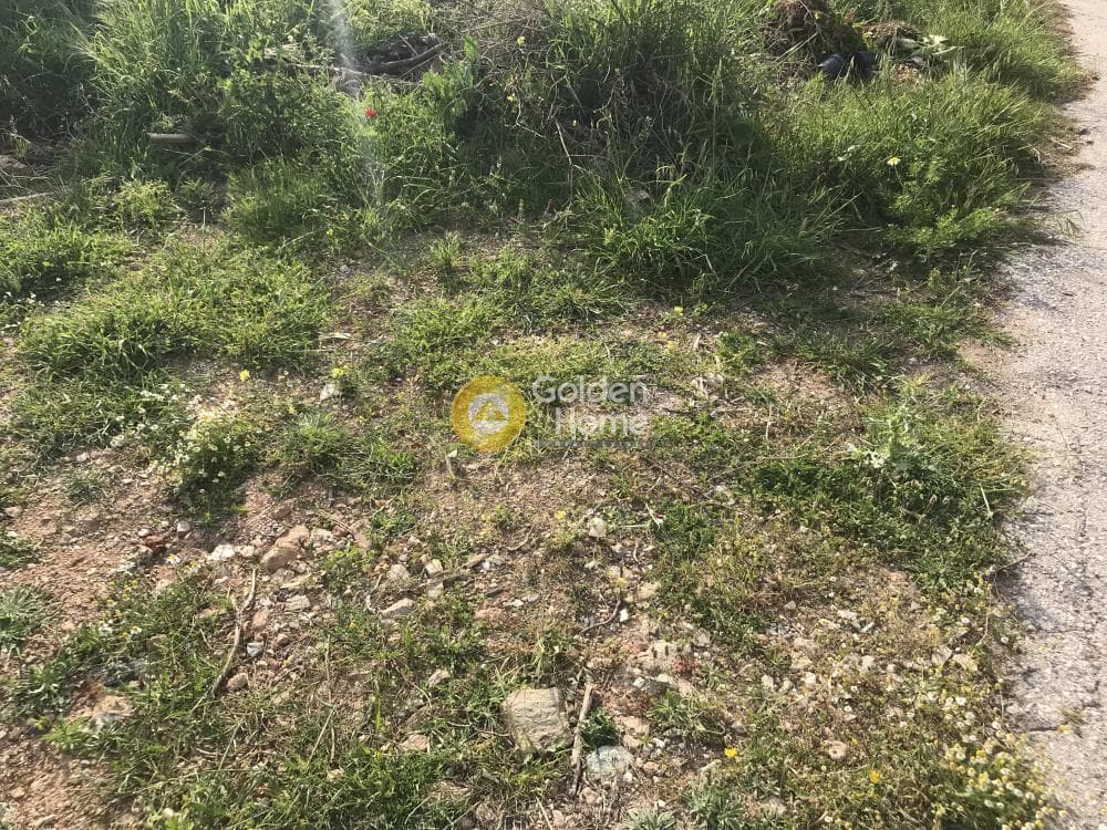 Αγροτεμάχιο στην Μαύρο Λιθάρι, Σαρωνίδα — Φωτογραφία 6 από 12