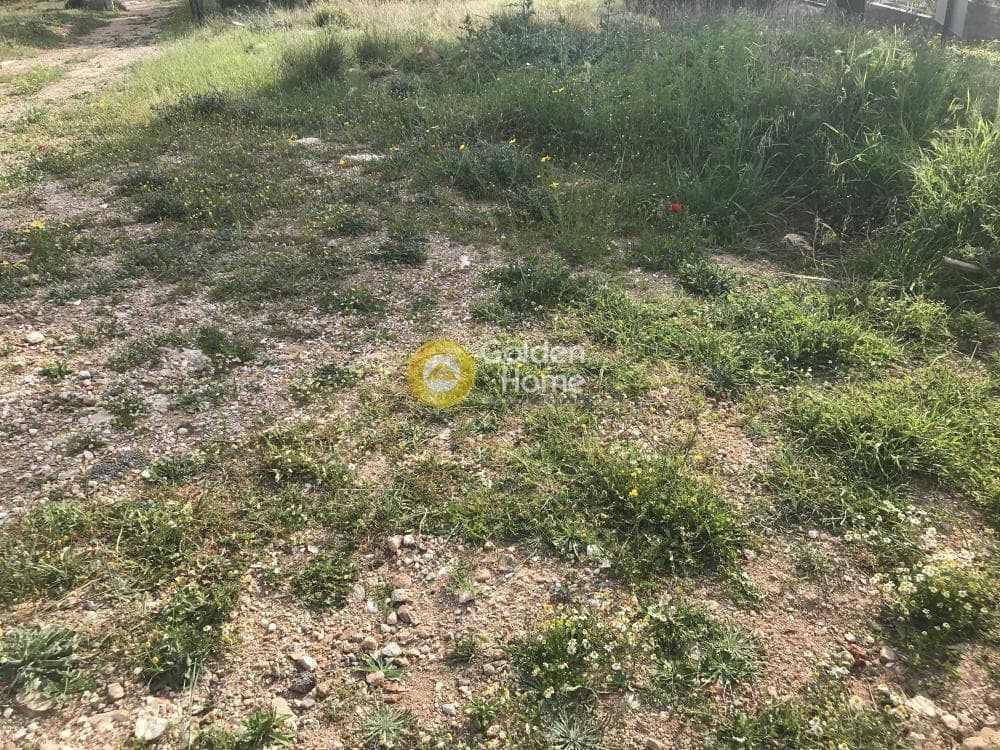 Αγροτεμάχιο στην Μαύρο Λιθάρι, Σαρωνίδα — Φωτογραφία 7 από 12
