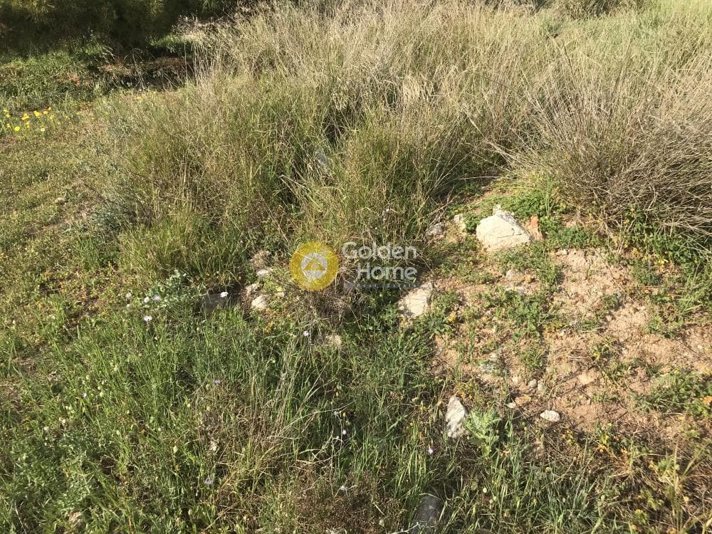 Αγροτεμάχιο στην Μαύρο Λιθάρι, Σαρωνίδα — Φωτογραφία 8 από 12