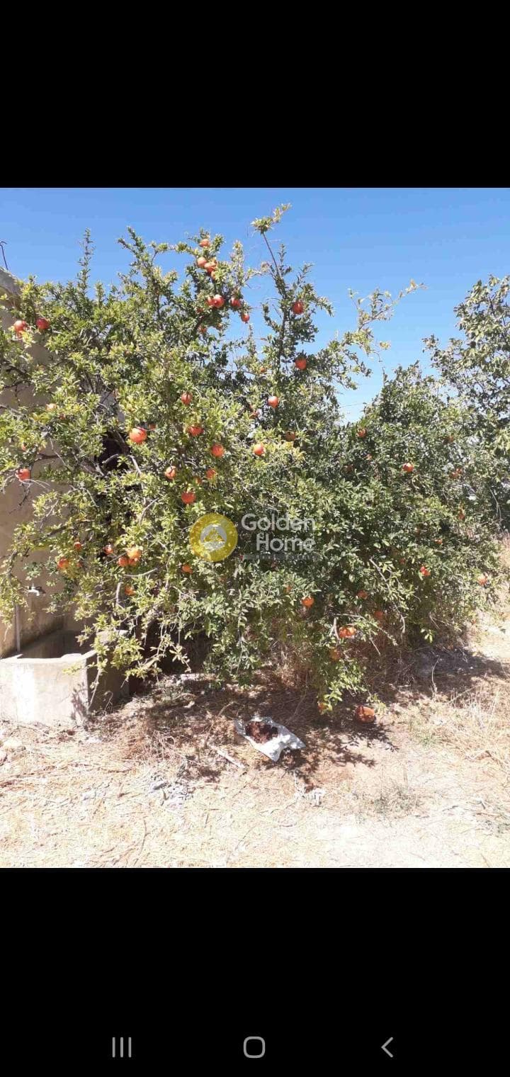 Building Plot in Voutes, Temenos — Photo 1 of 2