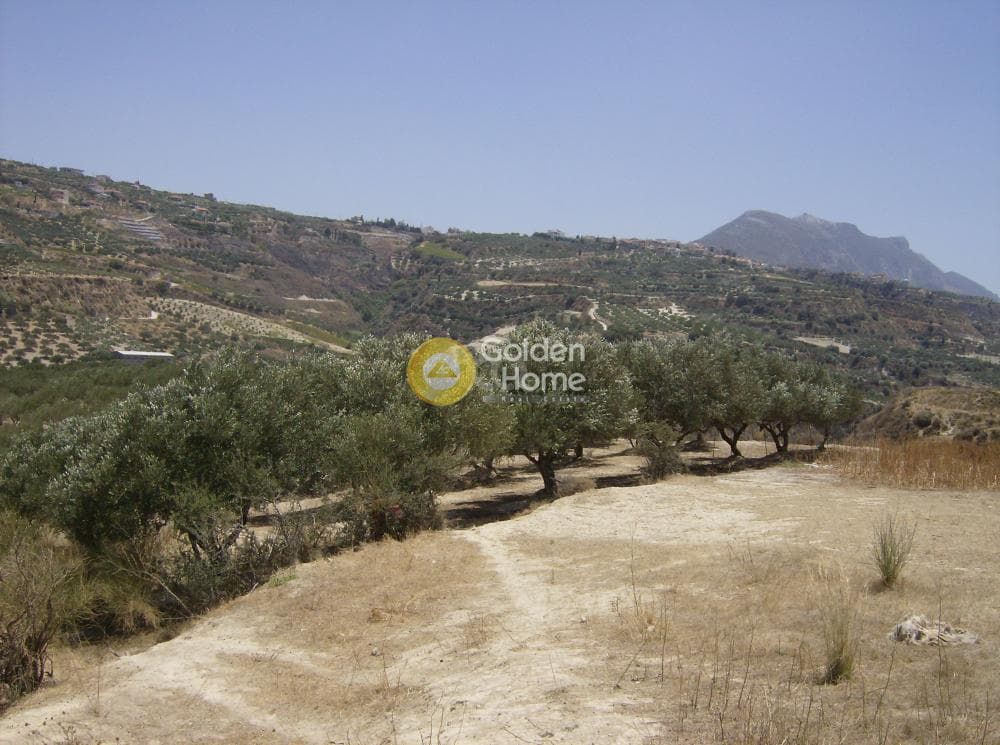 Parcel in Marathitis, Temenos — Photo 2 of 3