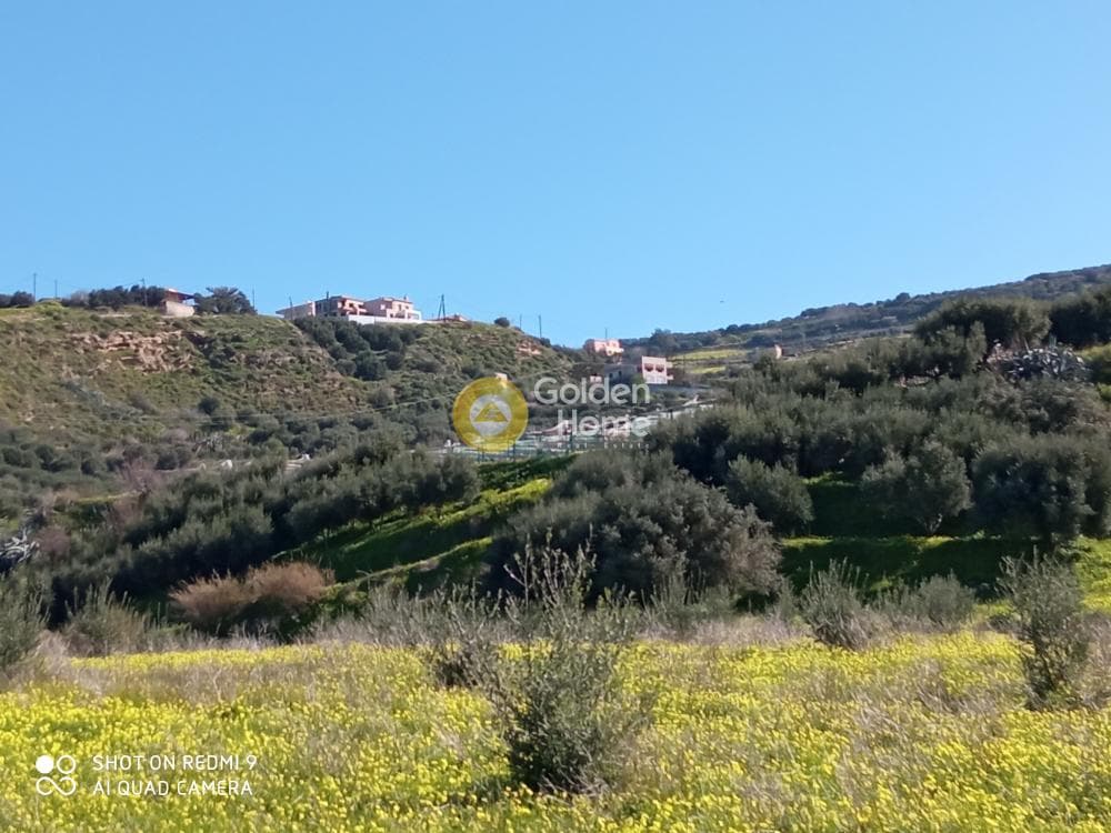 Αγροτεμάχιο στην Άγιος Βλάσιος, Αρχάνες — Φωτογραφία 3 από 6