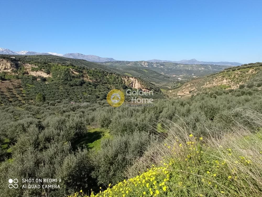 Αγροτεμάχιο στην Άγιος Βλάσιος, Αρχάνες — Φωτογραφία 2 από 6