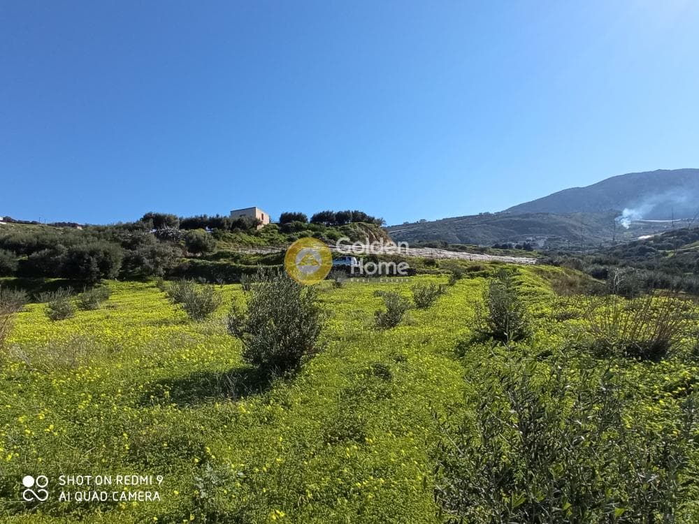 Αγροτεμάχιο στην Άγιος Βλάσιος, Αρχάνες — Φωτογραφία 4 από 6