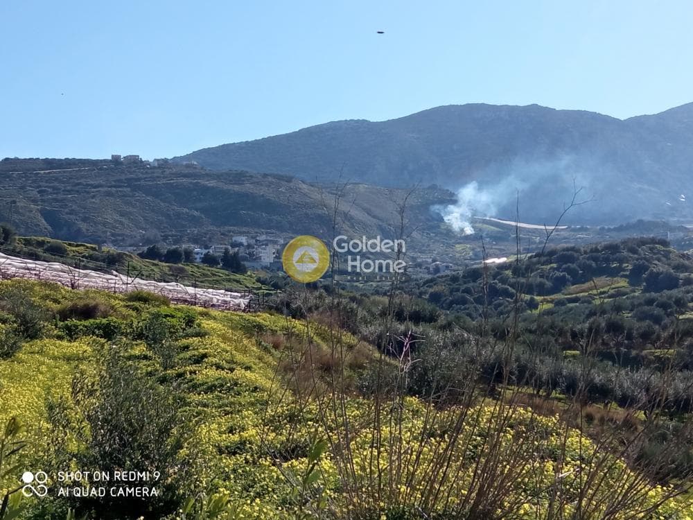 Αγροτεμάχιο στην Άγιος Βλάσιος, Αρχάνες — Φωτογραφία 5 από 6