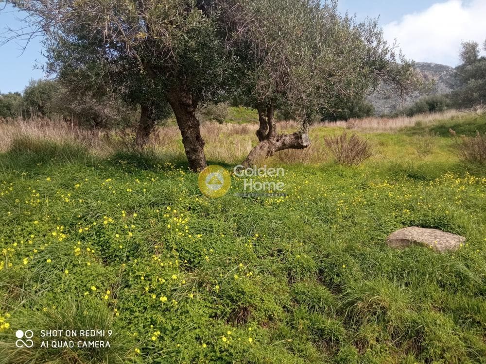 Αγροτεμάχιο στην Άγιος Βλάσιος, Αρχάνες — Φωτογραφία 2 από 4