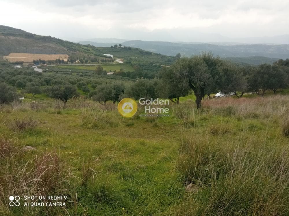 Αγροτεμάχιο στην Άγιος Βλάσιος, Αρχάνες — Φωτογραφία 3 από 4