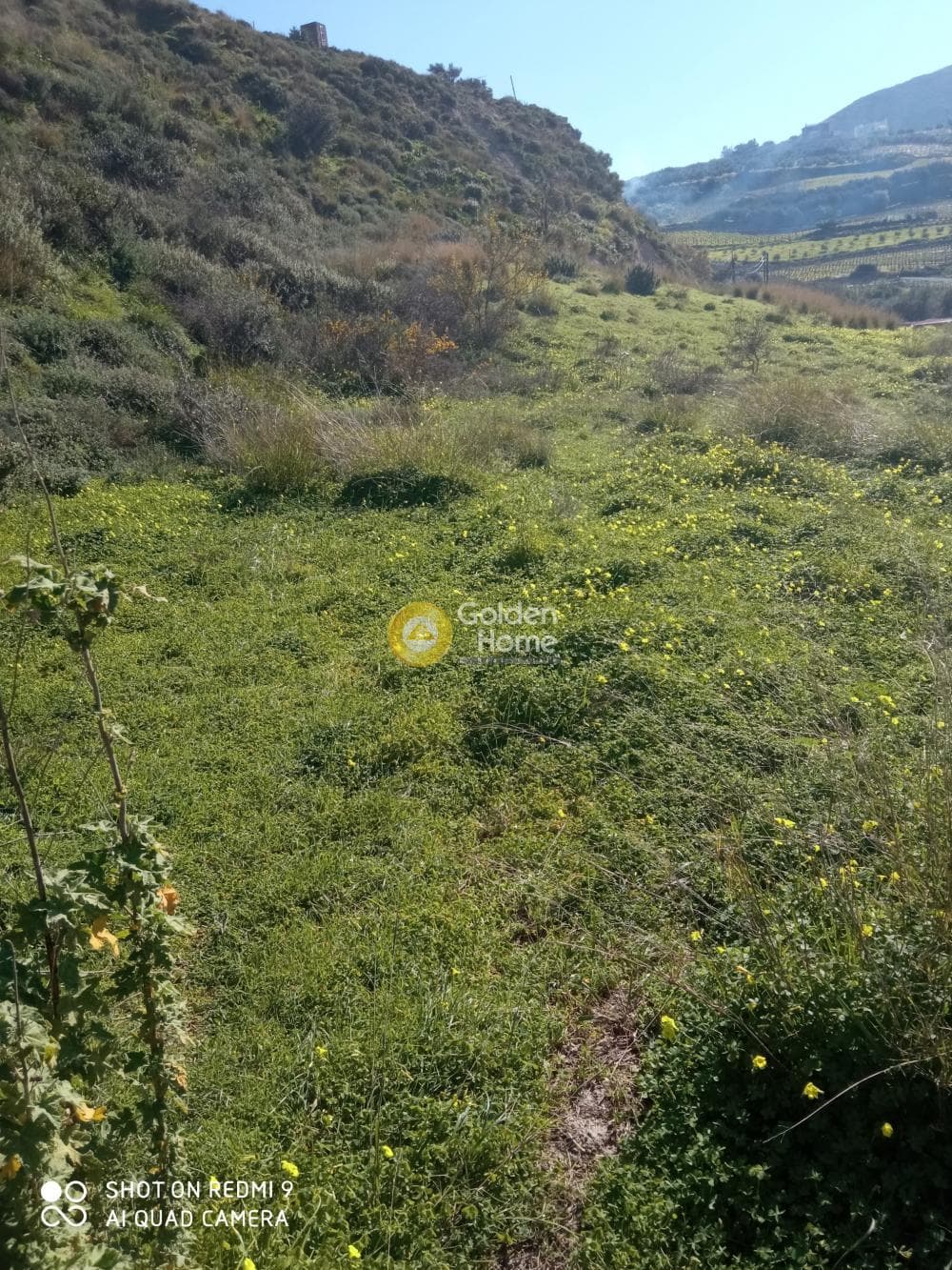 Οικόπεδο στην Άγιος Βλάσιος, Αρχάνες — Φωτογραφία 6 από 18