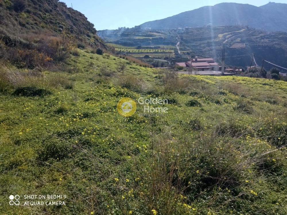 Οικόπεδο στην Άγιος Βλάσιος, Αρχάνες — Φωτογραφία 7 από 18