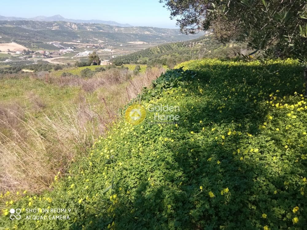 Οικόπεδο στην Άγιος Σύλλας, Αρχάνες — Φωτογραφία 1 από 8