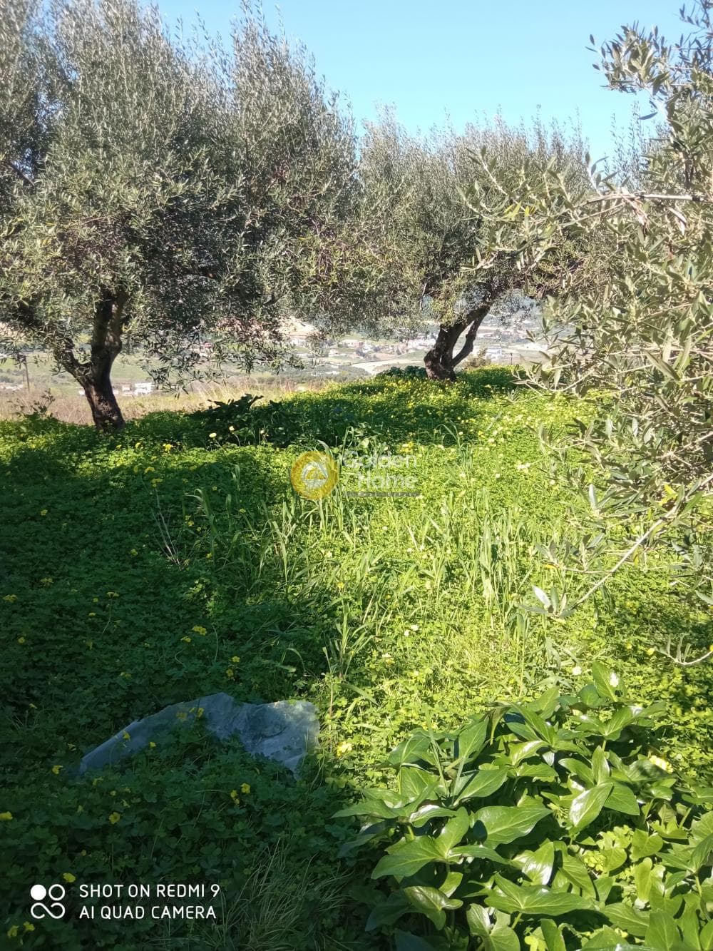 Οικόπεδο στην Άγιος Σύλλας, Αρχάνες — Φωτογραφία 4 από 8