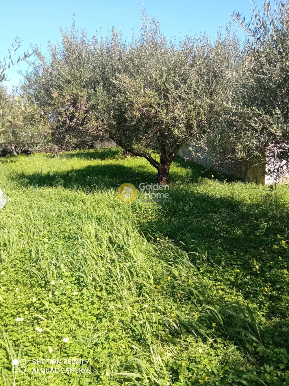 Οικόπεδο στην Άγιος Σύλλας, Αρχάνες — Φωτογραφία 5 από 8