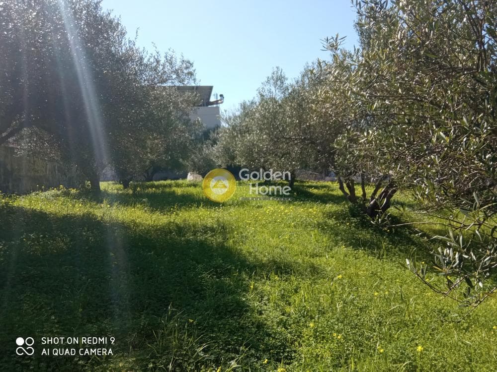Οικόπεδο στην Άγιος Σύλλας, Αρχάνες — Φωτογραφία 6 από 8