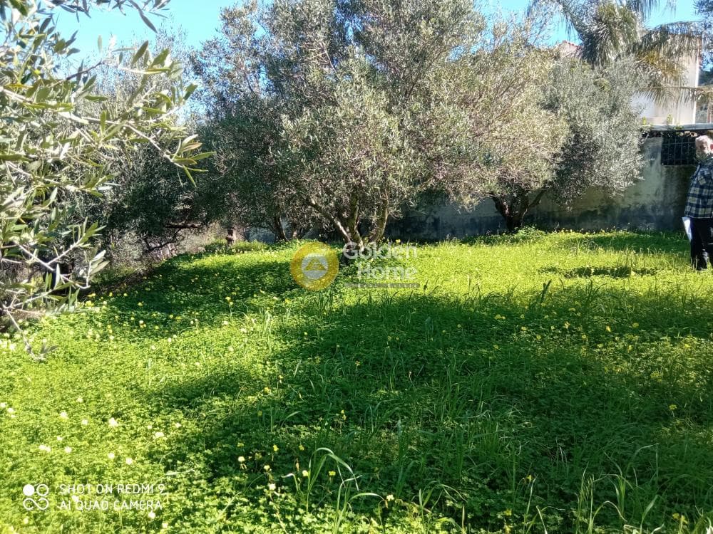 Οικόπεδο στην Άγιος Σύλλας, Αρχάνες — Φωτογραφία 8 από 8
