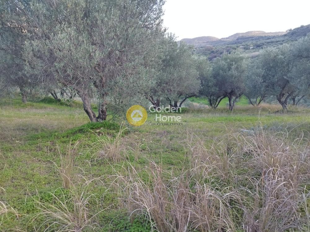 Αγροτεμάχιο στην Άγιος Βλάσιος, Αρχάνες — Φωτογραφία 3 από 4