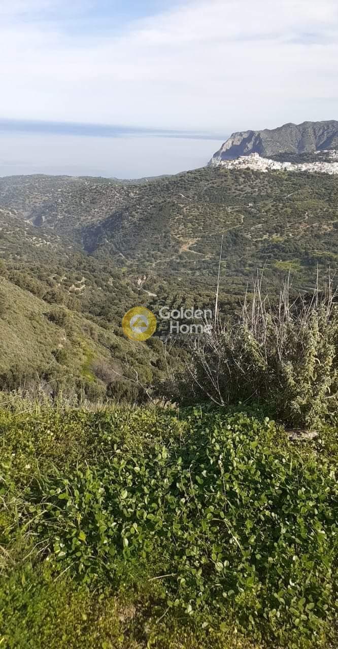 Αγροτεμάχιο στην Τουρλωτή, Μάλλια — Φωτογραφία 1 από 2