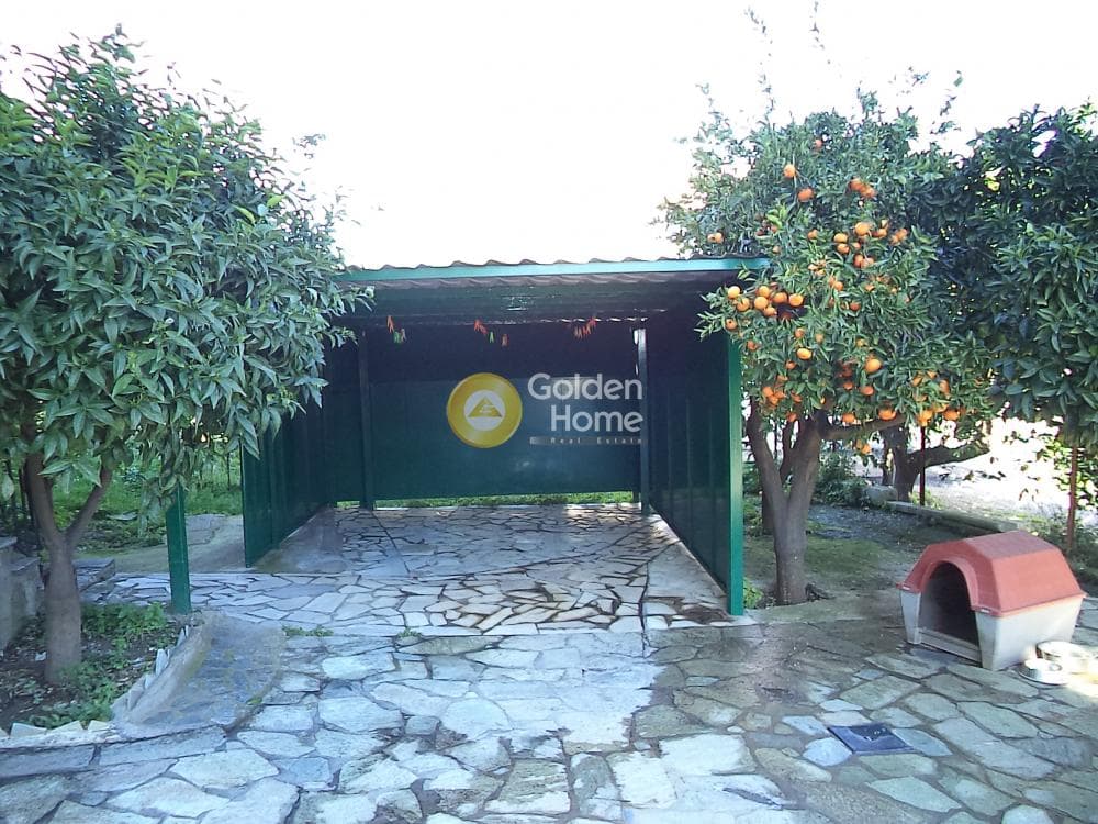 House in Nikoleika, Diakopto — Photo 10 of 18