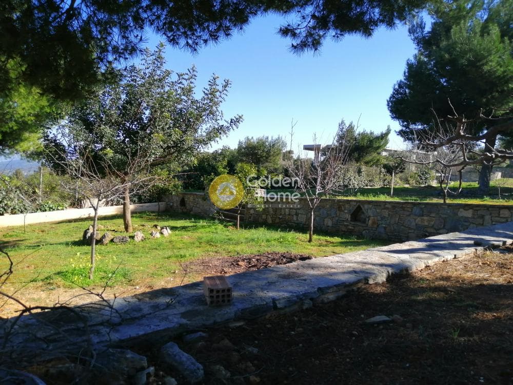 Μονοκατοικία στην ΒΙ.ΠΕ, Κορωπί — Φωτογραφία 17 από 25