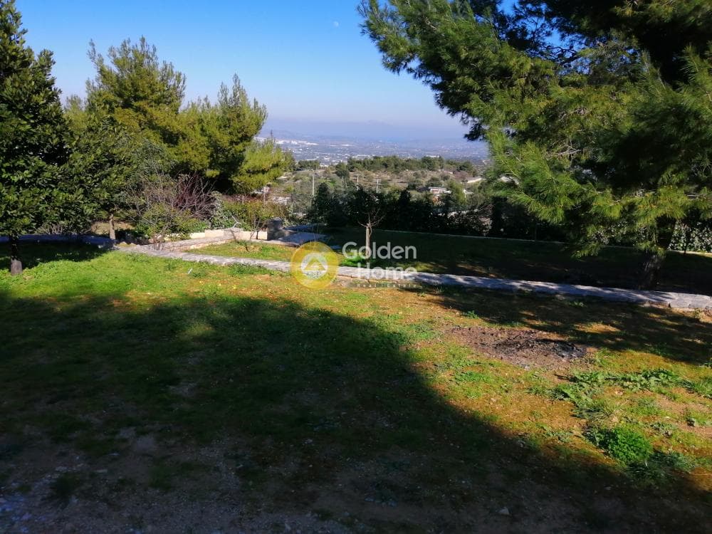 Μονοκατοικία στην ΒΙ.ΠΕ, Κορωπί — Φωτογραφία 20 από 25