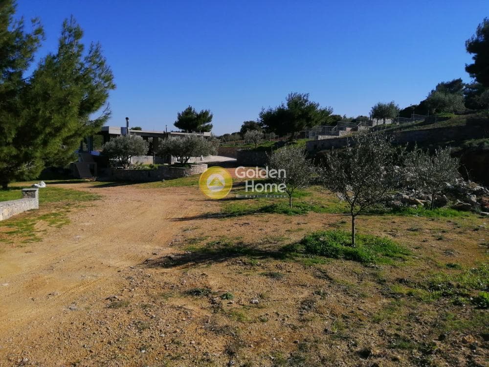 Μονοκατοικία στην ΒΙ.ΠΕ, Κορωπί — Φωτογραφία 19 από 25