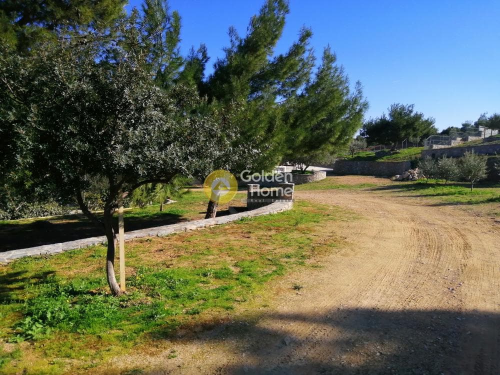 Μονοκατοικία στην ΒΙ.ΠΕ, Κορωπί — Φωτογραφία 15 από 25