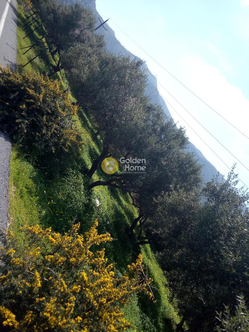 Parcel in Ligaria, Gazi — Photo 3 of 6