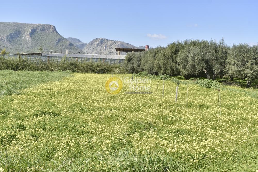 Αγροτεμάχιο στην Σκαφιδαράς, Γάζι — Φωτογραφία 2 από 8