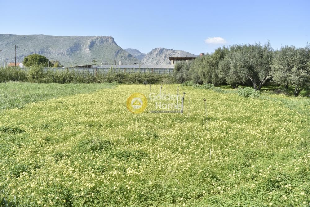 Αγροτεμάχιο στην Σκαφιδαράς, Γάζι — Φωτογραφία 7 από 8