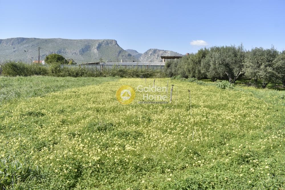 Αγροτεμάχιο στην Σκαφιδαράς, Γάζι — Φωτογραφία 8 από 8