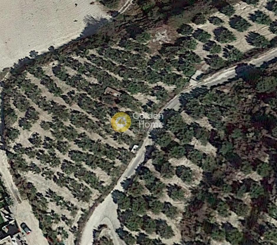 Parcel in Agios Vlasios, Archanes — Photo 3 of 8