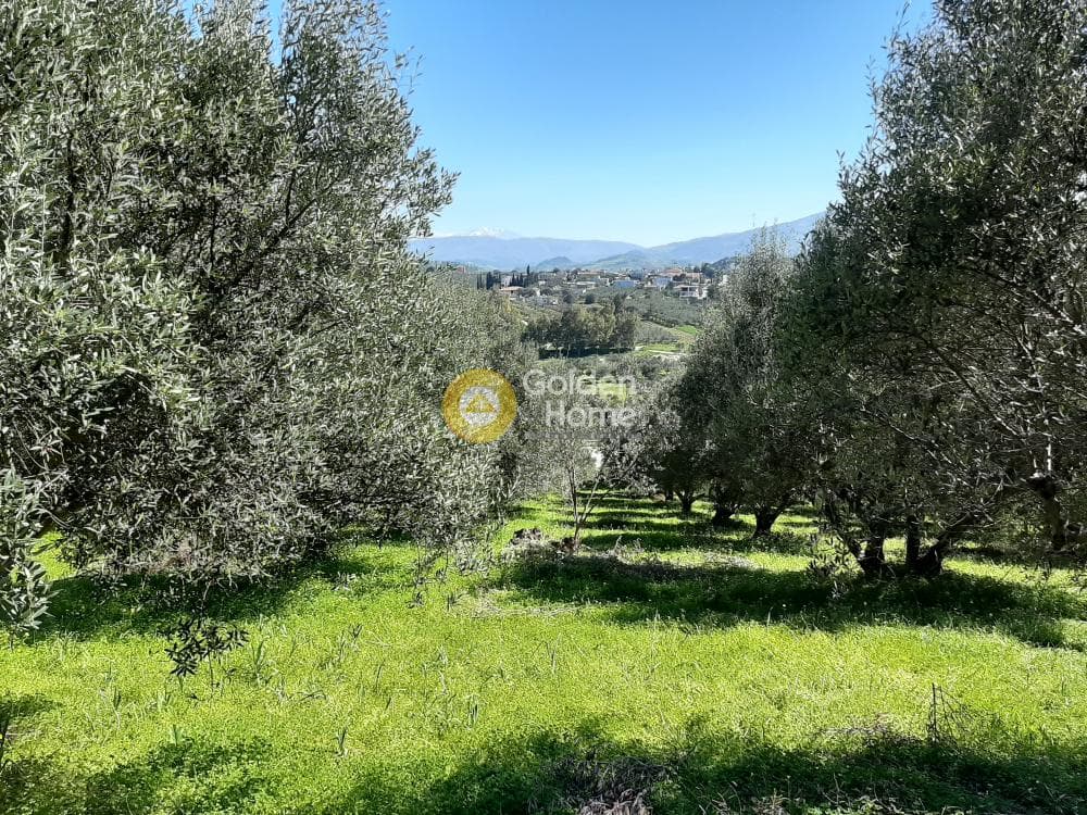 Οικόπεδο στην Βενεράτο, Τετραχώρι — Φωτογραφία 1 από 8