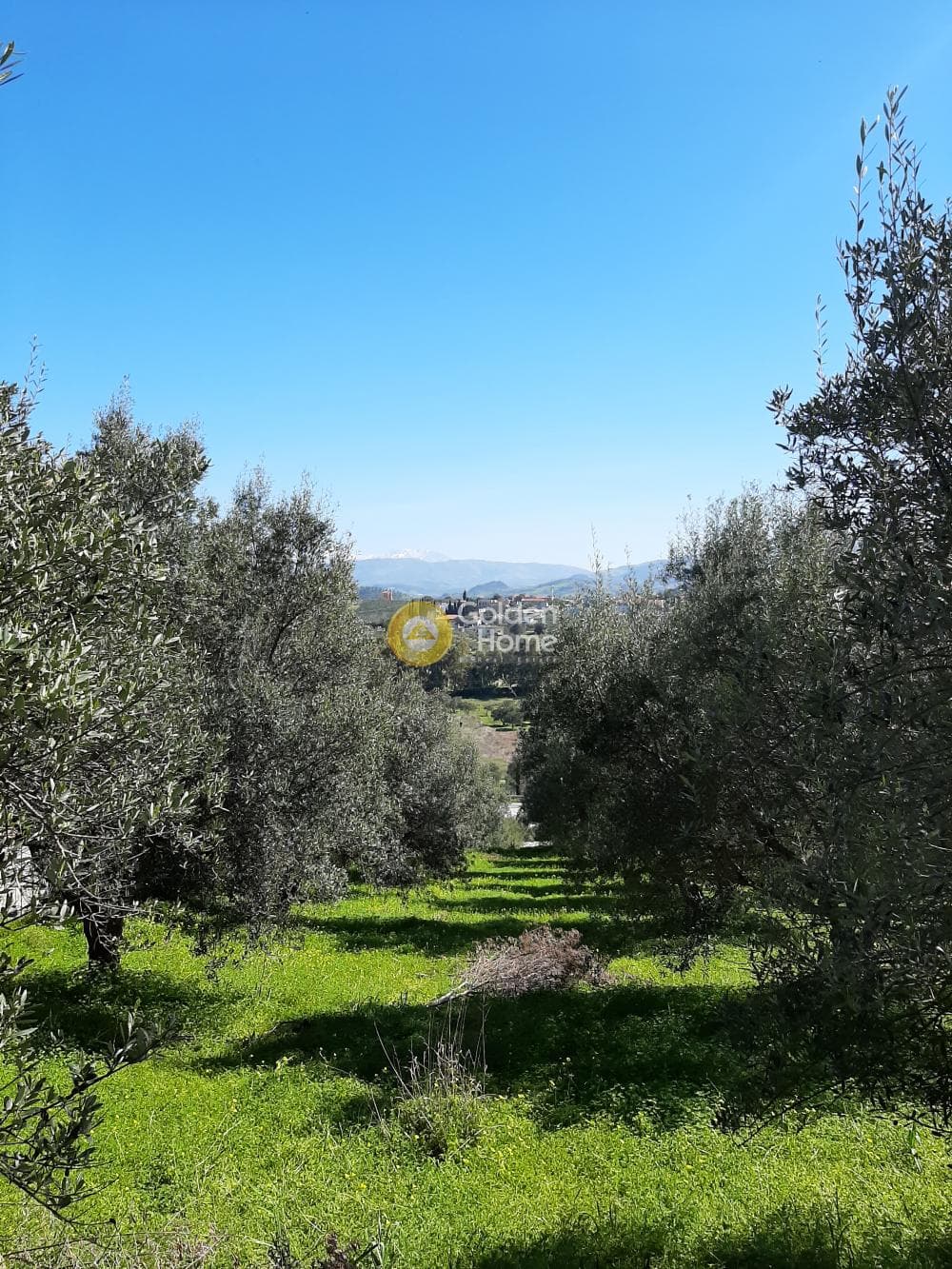 Οικόπεδο στην Βενεράτο, Τετραχώρι — Φωτογραφία 2 από 8