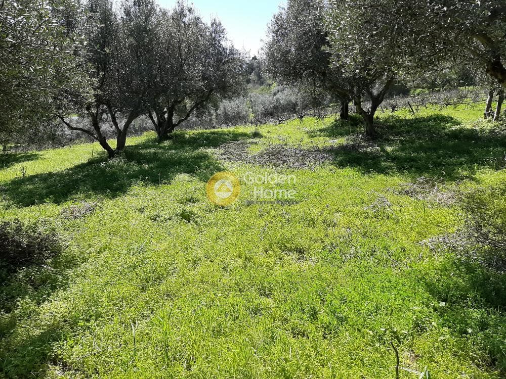 Οικόπεδο στην Βενεράτο, Τετραχώρι — Φωτογραφία 3 από 8