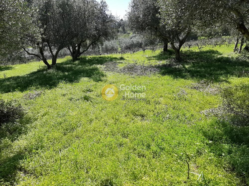 Οικόπεδο στην Βενεράτο, Τετραχώρι — Φωτογραφία 4 από 8