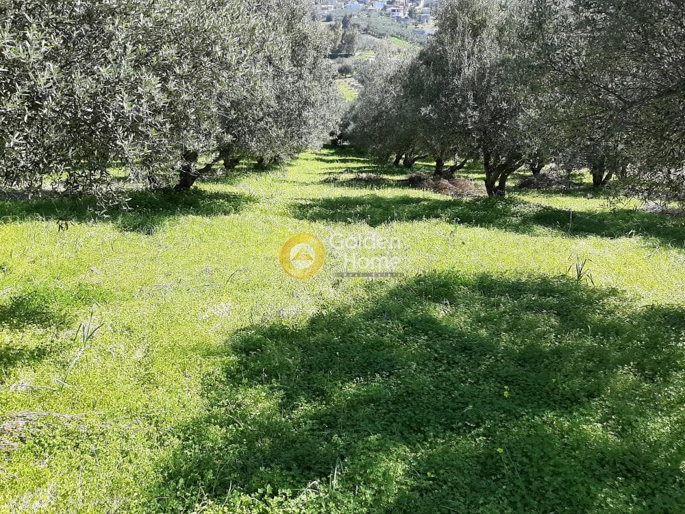 Οικόπεδο στην Βενεράτο, Τετραχώρι — Φωτογραφία 5 από 8
