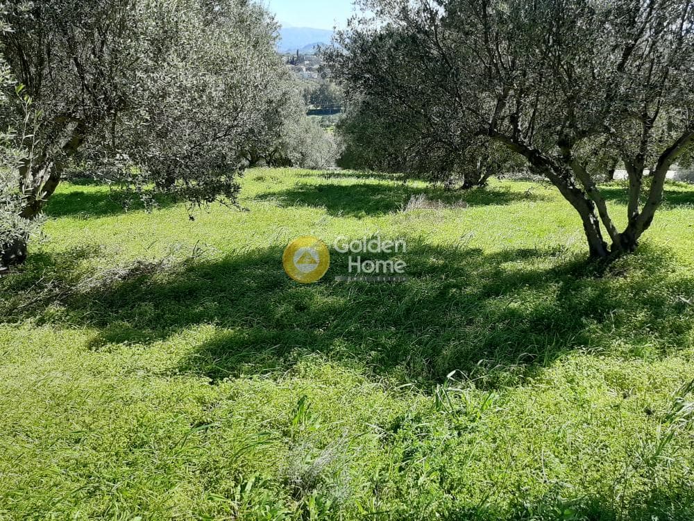 Οικόπεδο στην Βενεράτο, Τετραχώρι — Φωτογραφία 6 από 8