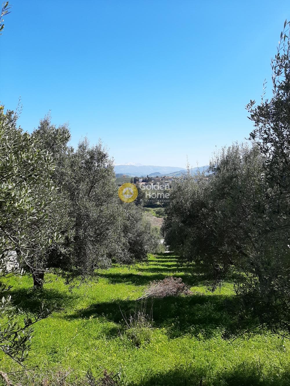 Οικόπεδο στην Βενεράτο, Τετραχώρι — Φωτογραφία 7 από 8