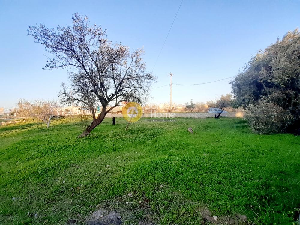 Building Plot in Kipseli, Aegina — Photo 1 of 8